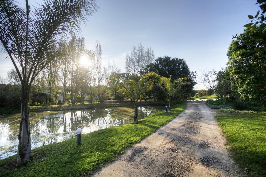 فيلا De Old Drift Guest Farm أدو المظهر الخارجي الصورة